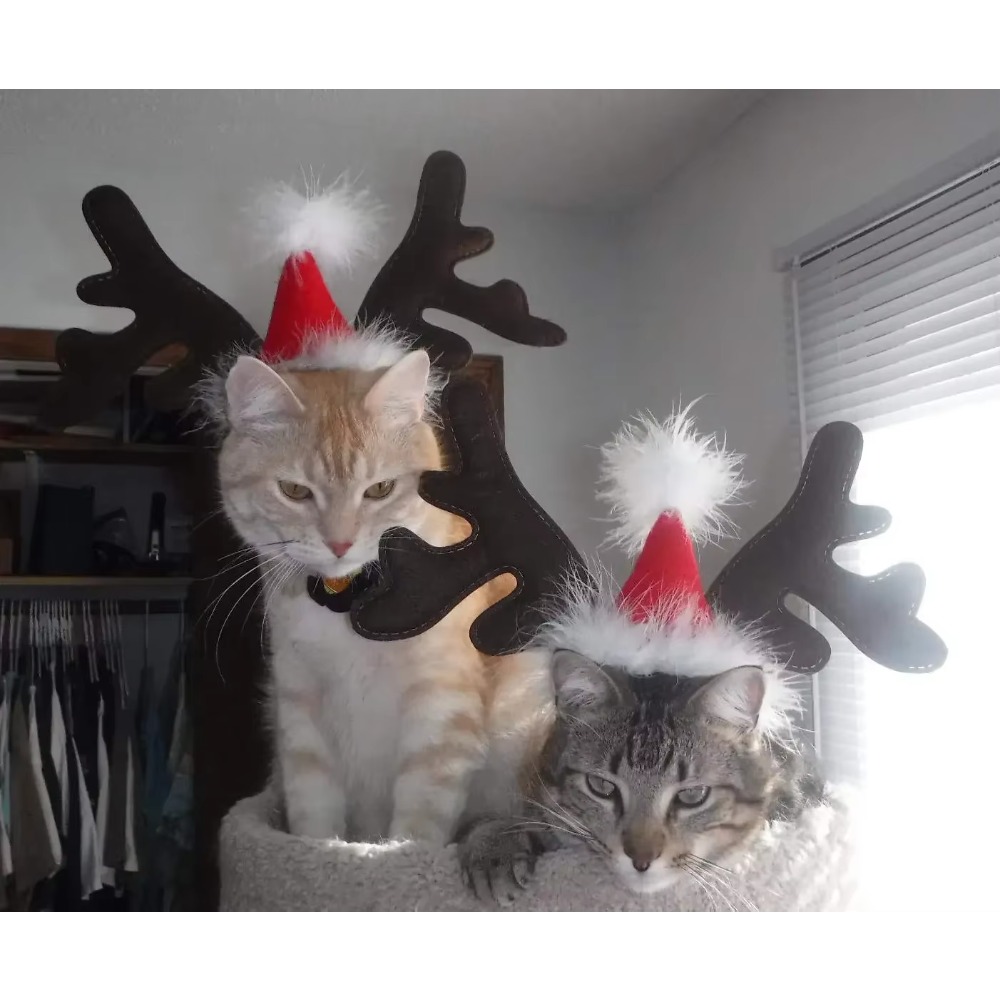 Pet Christmas Reindeer Antler  - đánh giá và giá Reindeer Antlers Headband