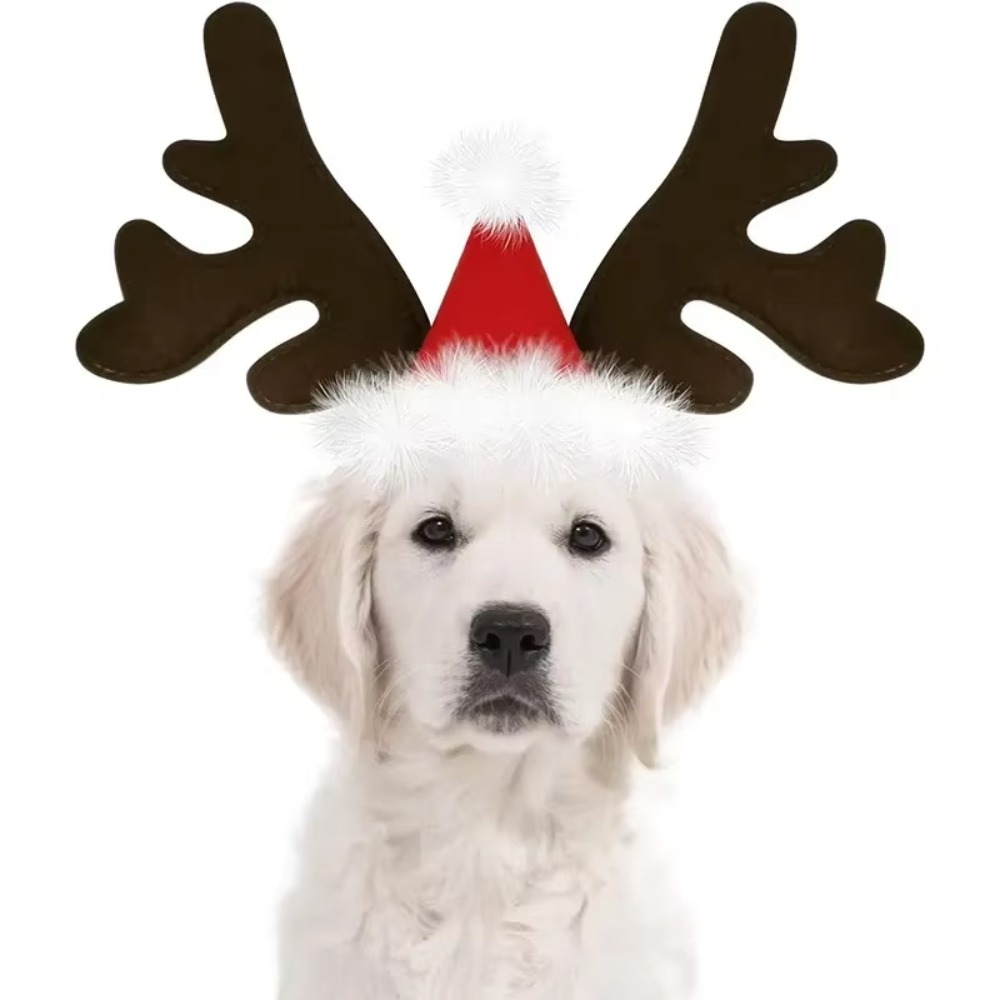 Pet Christmas Reindeer Antler  - đánh giá và giá Reindeer Antlers Headband